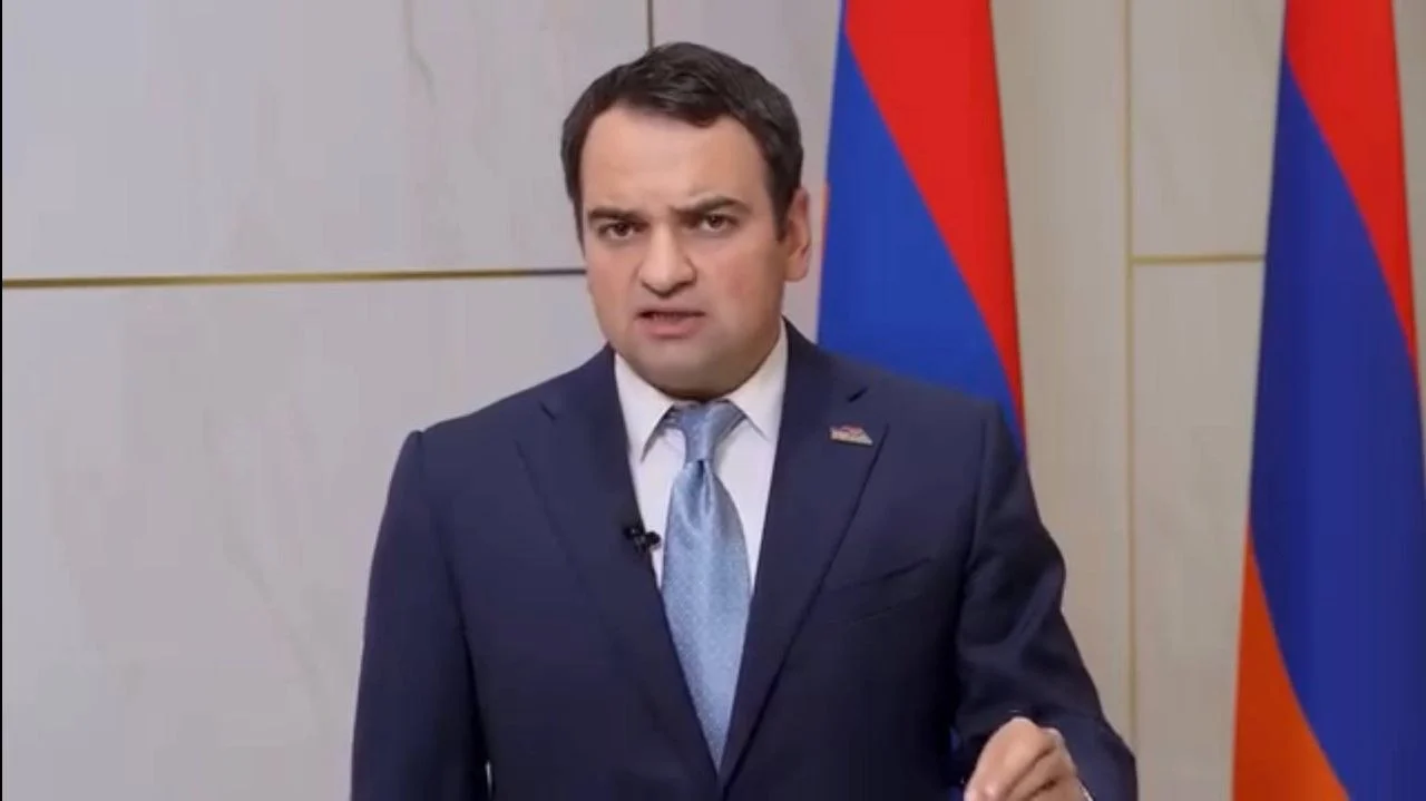 Պարոն Ռուբինյան, Ձեզ դեմ ենք քվեարկելու, որպեսզի մեր խելացի երիտասարդներն Ադանան որպես քեբաբ չճանաչեն, այլ իմանան, որ այն հայրենիքի մի մասն է. Կարապետյան