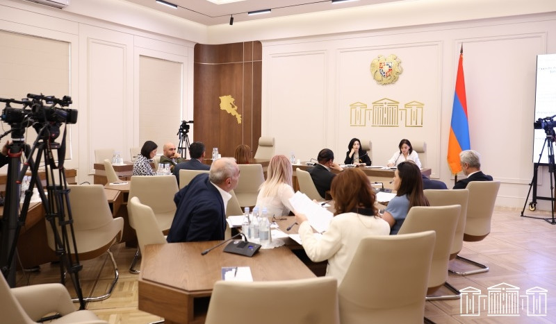 Սփյուռքի գործերի գլխավոր հանձնակատարը, Հանրային հեռարձակողի խորհրդի նախագահը և ՀՌՀ անդամը՝ 2025-ի բյուջեի կատարողականի մասին