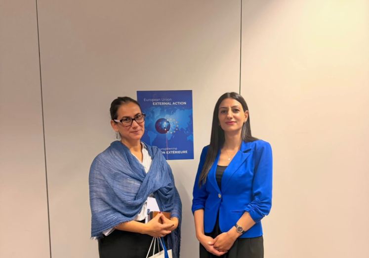 Անահիտ Մանասյանը հանդիպել է ԵՄ-Հայաստան մարդու իրավունքների երկխոսության համանախագահի հետ